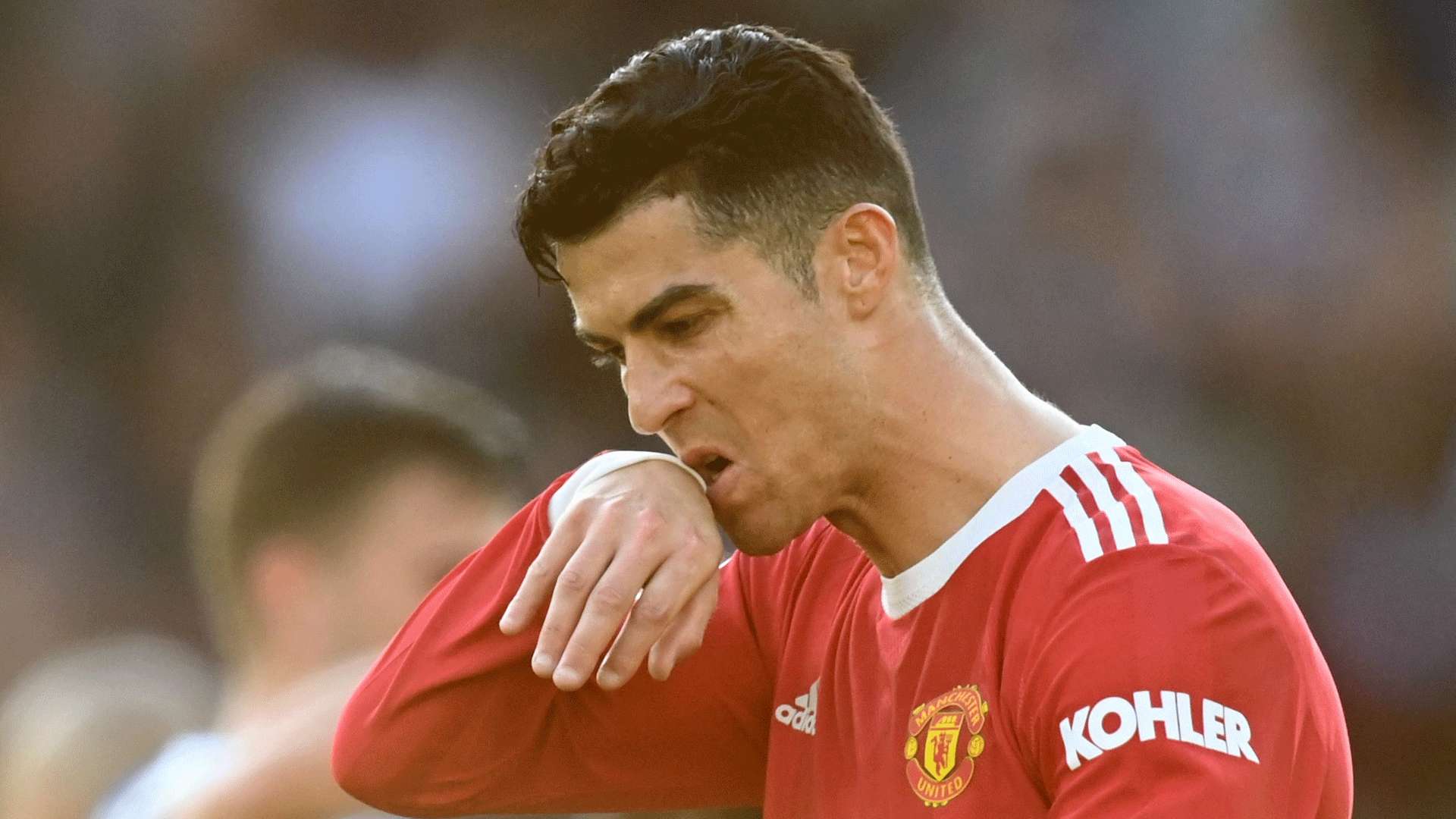 文章还将探 文章还将探